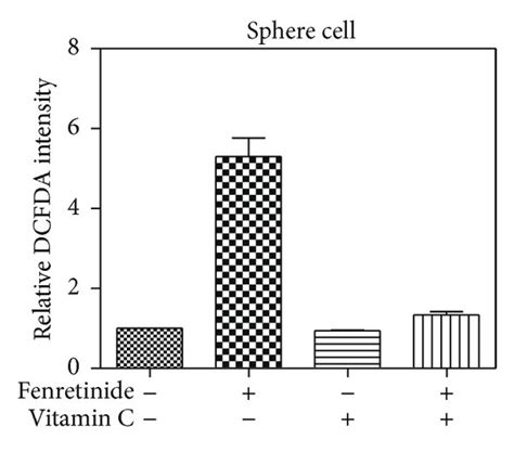 Fenretinide Induced Ros Induction Er Stress And Cell Cycle