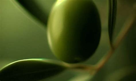 What Color Is Nude Meaning Symbolism Psychology Of Color Nude