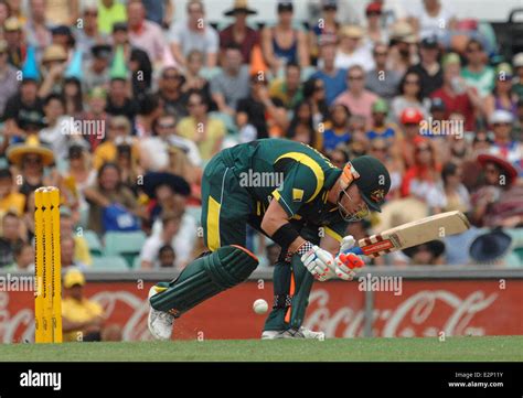 David Warner Doubles Over In Agony After Being Hit In The Groin From A