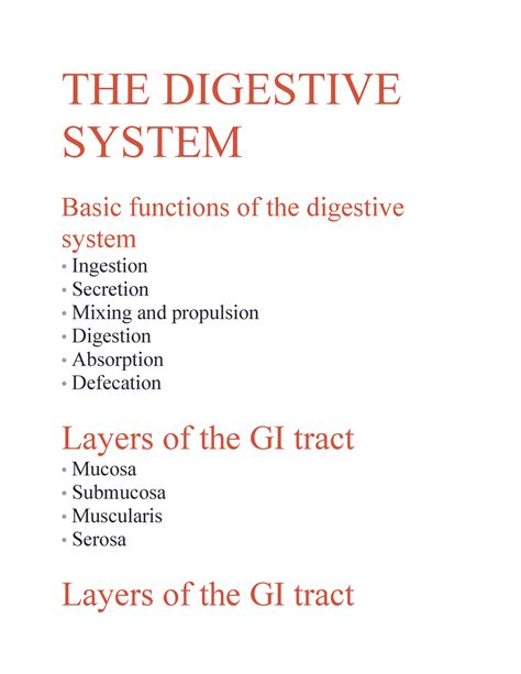 digestive  digestive system basic functions   digestive