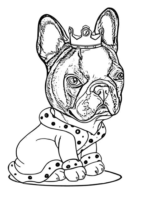 Coloriages Bouledogue Coloriages Gratuits