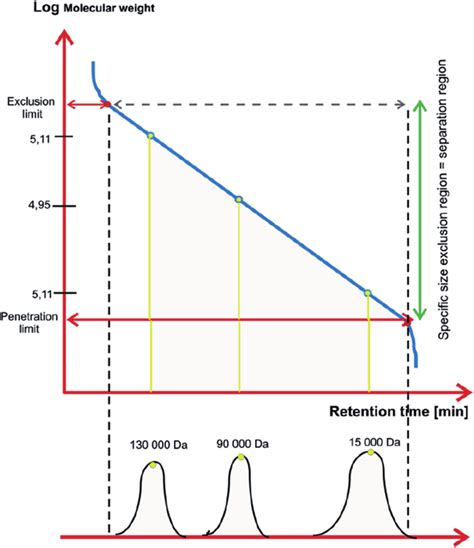 2 Column Calibration Curve With Narrow Standards In Size Exclusion Download Scientific Diagram