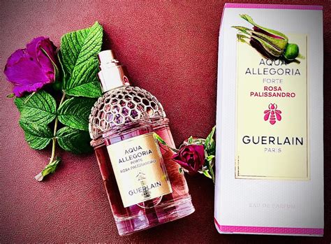 Aqua Allegoria Forte Rosa Palissandro Guerlain A Fragrance