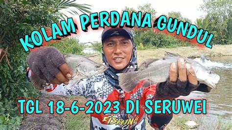 Di Buka Kolam Perdana Gundul Minggu Ini Tgl 18 6 2023 Di Seruwei YouTube