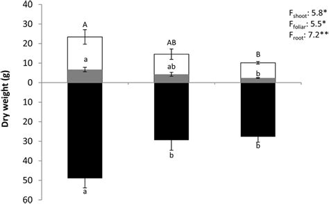 Biomass Growth Shoot Foliar And Root Biomass Gdm Ind−1 During Leaf