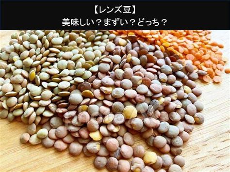 【レンズ豆】美味しい？まずい？どっち？人気アンケートで好き嫌いの割合調査！