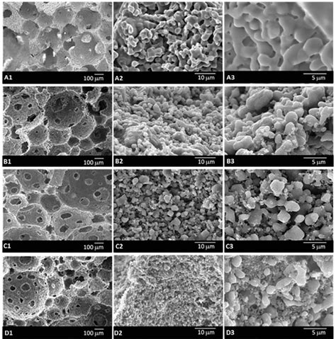 SEM micrographs of β TCP and β TCP Al 2 O 3 scaffolds A1 A2 A3