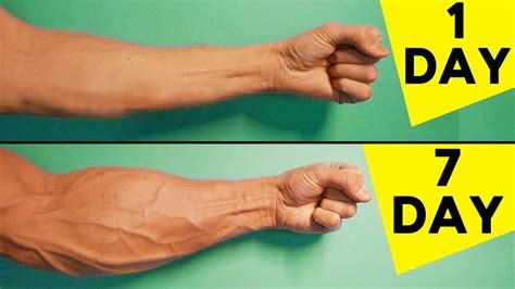 5 Best Exercises For Forearms | Home Workout – WeightBlink