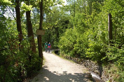 Lungo La Splendida Roggia Di Marlengo Alley Sidewalk Road Structures