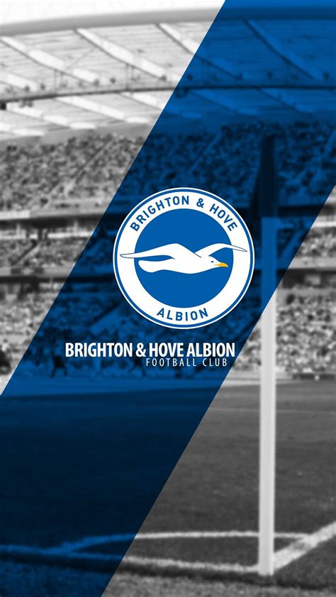 Brighton hove albion fc – Artofit