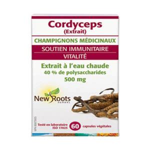 Cordyceps Extrait Mg V Capsules La Manne