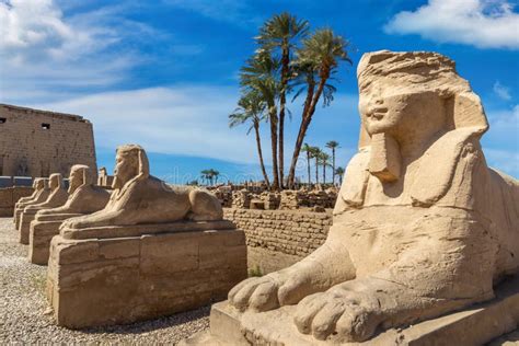 Sphinx Allee In Luxor Egypt Stock Image Image Of Mythology Exterior