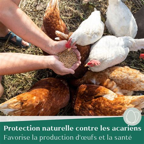 Acheter La Nourriture Pour Poules En Granul S Anti Acariens Kg En