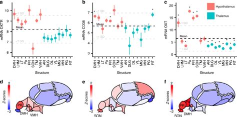 Oxytocin Pathway Gene Networks In The Human Brain Nature Communications