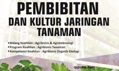 Rpp Pembibitan Dan Kultur Jaringan Tanaman Perkebunan Kurikulum