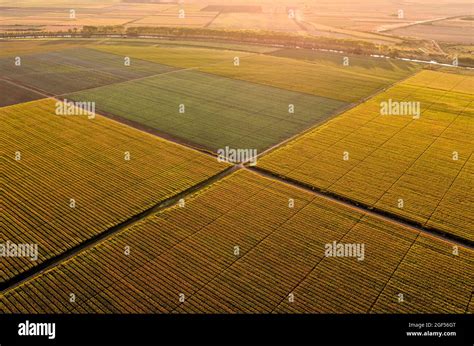 Aerial View Of Vast Agricultural Farm Fields At Summer Dusk Stock Photo