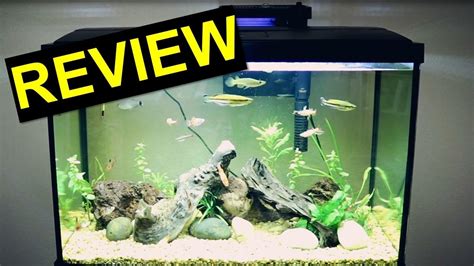 20 Gallon Top Fin Aquarium Kit Review Tuesday Tank Reviews Youtube