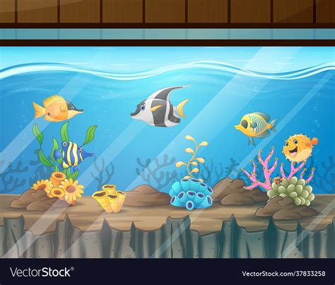 Top 133 Cartoon Aquarium Drawing Super Hot Seven Edu Vn