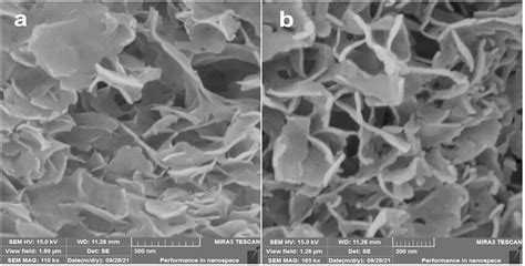 FE SEM Micrographs Of SA ZnSe NPs A Magnification Scale 110 Kx With