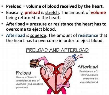 This is an example of preload and afterload #heart #hearthealth # ... | Nursing school essential ...