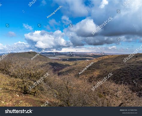 15 675 Naked Winter Trees Images Stock Photos Vectors Shutterstock