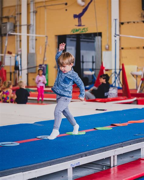 Preschool Gymnastics Classes | Aviator Sports