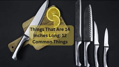 Common Things That Are Meters Long Measuring Troop