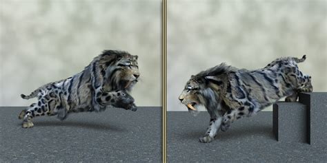 Smilo Poses For Am Smilodon Daz 3d