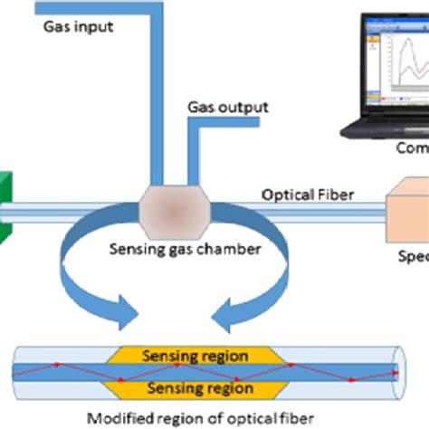 Schematic Diagram Of Gas Sensing Mechanism In The Proposed Fiber Optic