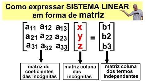 GRINGS COMO EXPRESSAR SISTEMA LINEAR EM FORMA DE MATRIZ