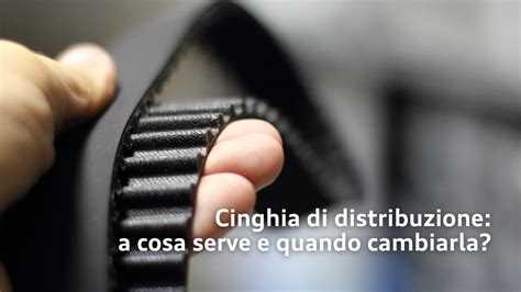 Cinghia Di Distribuzione A Cosa Serve E Quando Cambiarla G