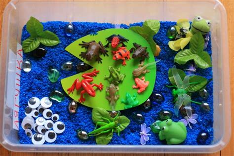 Live And Play Life Cycle Of A Frog Sensory Play Life Cycles Frog