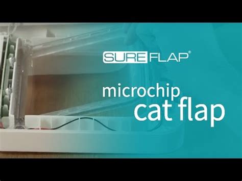 Replacing the door on the SureFlap Microchip Cat Flap