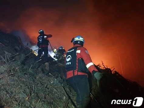 순천 산불 발생 진화대원 307명 동원 네이트 뉴스