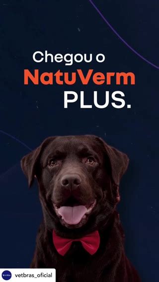 Vermifugo Oral Vermicida E Giardicida Natu Verm Plus 1650mg Cães ou