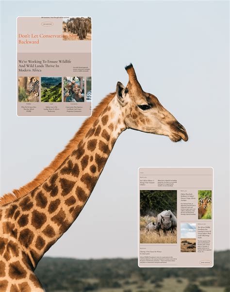 African Wildlife Foundation :: Behance