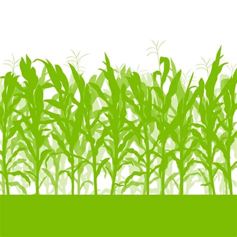 Cornfield Clipart