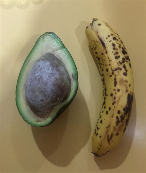 Huge Avocado Seed : r/mildlyinteresting