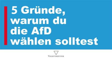 Gr Nde Warum Du Afd W Hlen Solltest Volksverpetzer