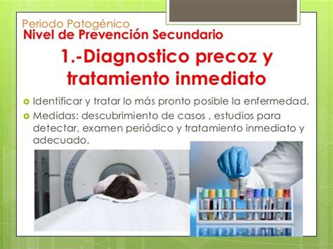 5 Niveles Prevencion