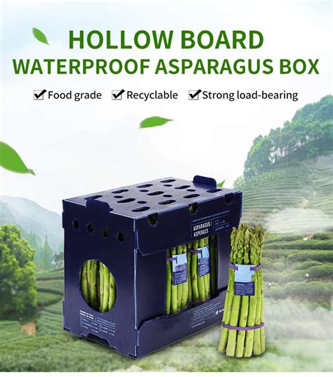 Stackable Custom Pp Corflute Hollow Asparagus Packing Box Corrugated