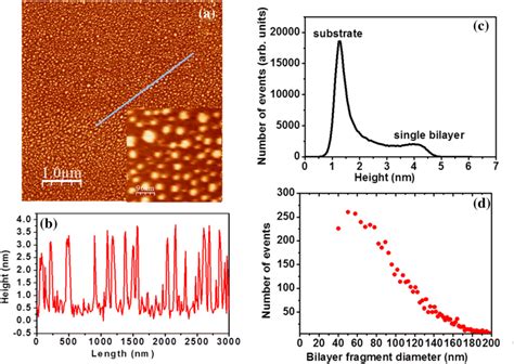 A Afm Image Of Dopc Bilayer Fragments On Mica Surface After Min