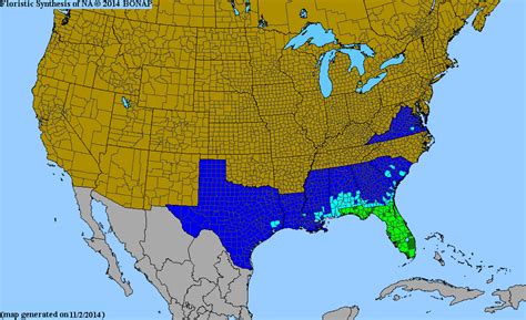 bonap north american plant atlas taxonmaps