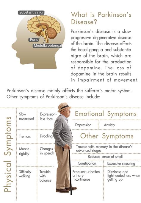 What Is Parkinson S Disease Parkinsons Disease Parkinsons Disease