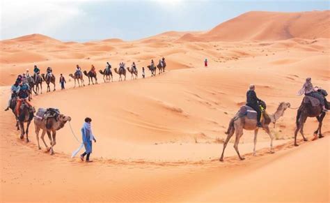 Morocco Camel Tour And Night In The Desert