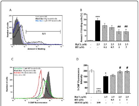 HT Prevents PS Exposure And GSH Depletion In Human RBC Cells Were