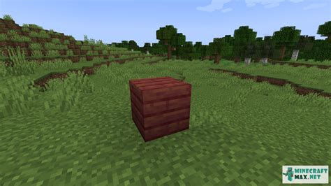 Mangrove Planks Minecraft Texture