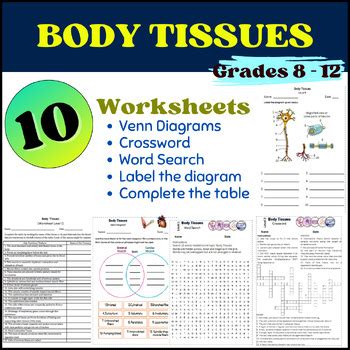 Human Body Tissues Worksheets By Scholarly Biology TPT