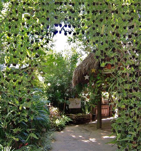 landmark in vigan: Hidden Garden