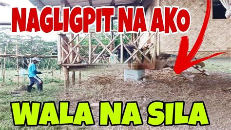 Bahay Kubo Ang Paglilinis Sa Silong Life In The Province YouTube